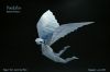 Daedalus-GabrielAlvarezG_28495x33029.jpg