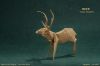 Nom du fichier=DeerYasushiMiyashita_P.jpg
Taille du fichier=93Ko
Dimensions : 495x330
Ajouté le : 24 Juin 2014 DeerYasushiMiyashita_P.jpg