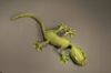 Gecko1P.jpg