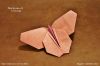 Nom du fichier=PapillonBinzinger2_G.jpg
Taille du fichier=477Ko
Dimensions : 1600x1067
Ajouté le : 12 Décembre 2013 PapillonBinzinger2_G.jpg