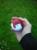 Nom du fichier=Pokeball_28150x20029.jpg
Taille du fichier=49Ko
Dimensions : 150x200
Ajouté le : 24 Avril 2011 Pokeball_28150x20029.jpg