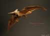 RedpathPteranodon.JPG