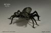 WolfSpiderChanP.jpg