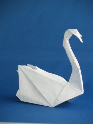weiss-swan.jpg