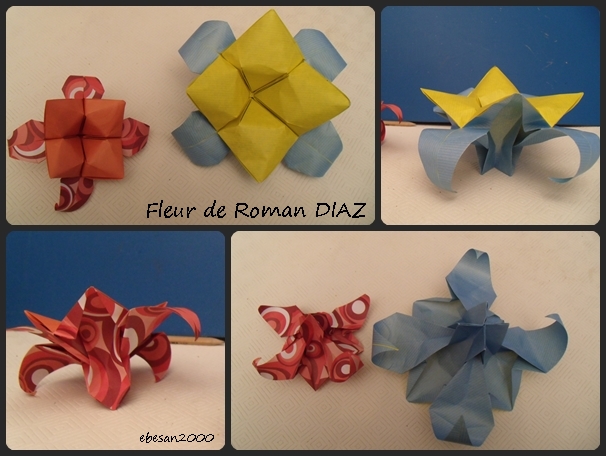 fleur de Roman DIAZ
