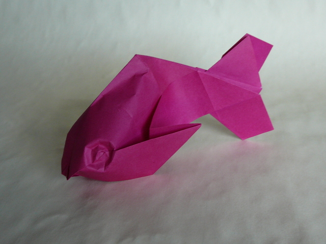 Poisson de Davor Vinko (CP)
