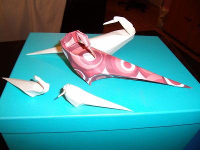 Stephan_Weber_bird.JPG