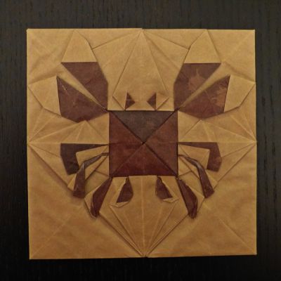 crabe2.JPG