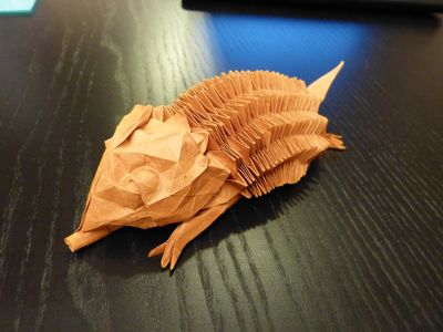 hedgehog_e-joisel.JPG