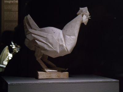 poulejoisel.JPG