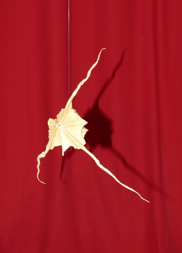 origami-juin-2013_346.JPG