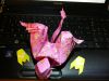 grue_rose_cigale.jpg