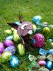 lapin.JPG