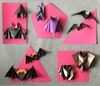 5_chauves-souris_2021.jpg