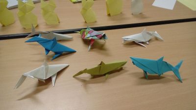 Requin de Fabrice Mouhartem
