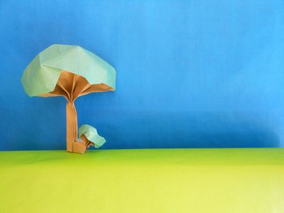 Arbre et buisson
Sur un éventail. Le buisson permet à l'arbre de tenir debout.
