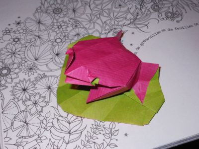 Base du renard essai 2 : crapaud sur une feuille de nénuphar
La feuille est trop petite !

