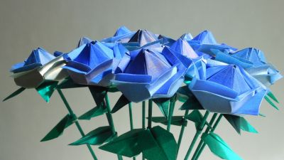 Bouquet_bleu_-_Copie.JPG