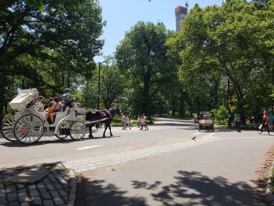 Central_Park_caleche_2.jpg