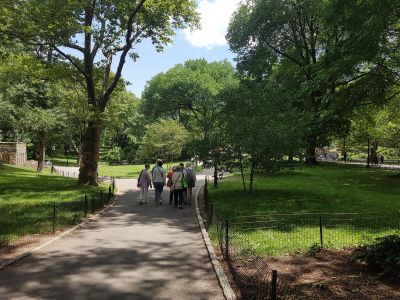 Central_park.jpg