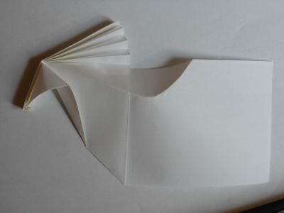 Cheval001.JPG