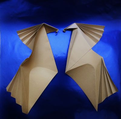 Cheval_concave-convexe.JPG