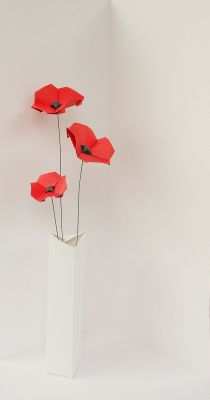 Coquelicots 2012
