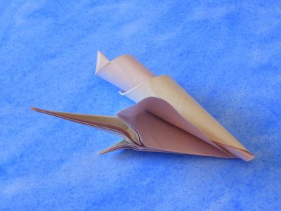 Coquillage F1 à partir de la base du renard de Quyet Hoang
