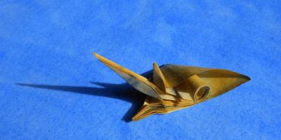 Coquillage F2 à partir de la base du renard de Quyet Hoang, au soleil

