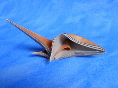 Coquillage sur la base du renard de Quyet F4
