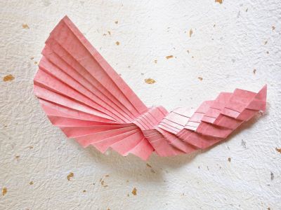 Etude pour une crevette

