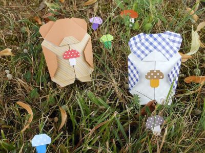 Les Nounours cueillent des champignons, champignon 2016
