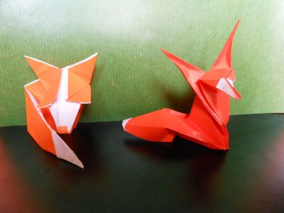 renards de sebl
