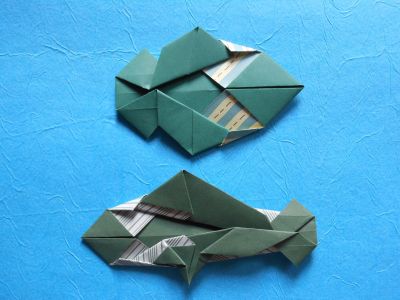 Envers du poisson 2D
