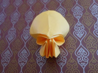 Modification du poulpe : crâne.
