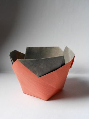 Petit pot de Robert, 2016
