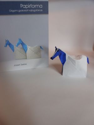 Paper & Forms de Jozsef Zsebe
