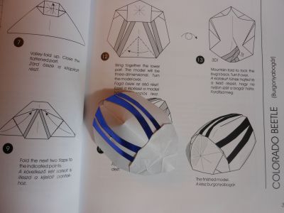 Paper & Forms de Jozsef Zsebe
