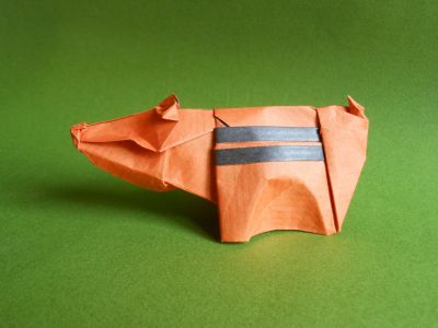 Paper & Forms de Jozsef Zsebe
