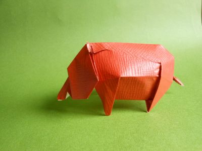 Paper & Forms de Jozsef Zsebe
