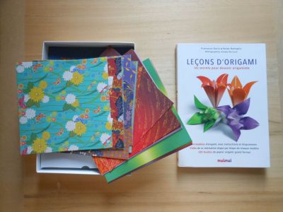 Leçons d'origami, de Francesco Decio et Vanda Battaglia, éditions Nuinui, 2014
