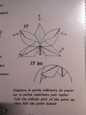 Lock du pétale d'orchidée
