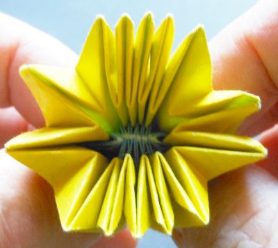 Marguerite 7
