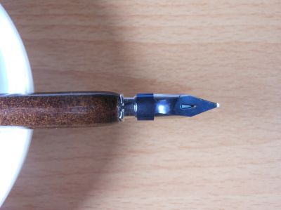 Plume à disque (dessus)
