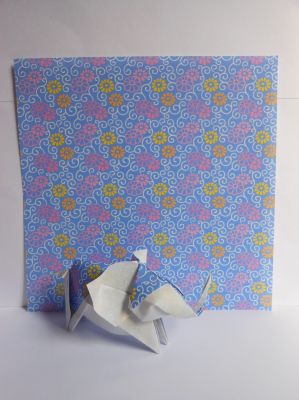 Ratio de l'éléphant bicolore
