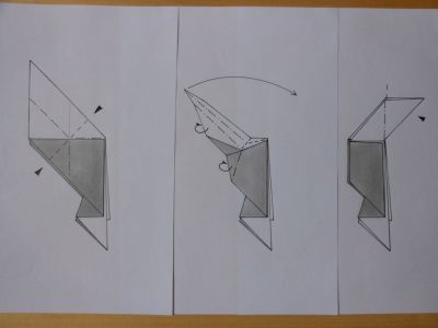 Formation du corps du geai bleu
