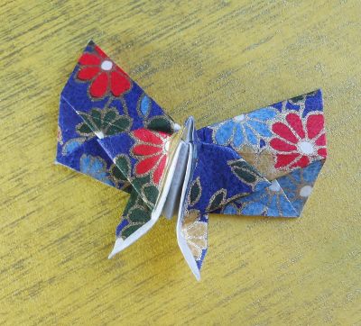 Papillon maximum 5 cm X 5 cm washi
