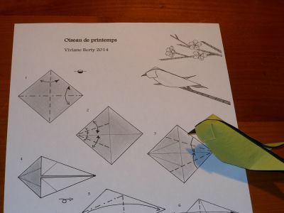 Diagramme oiseau de printemps de Viviane
Téléchargeable sur le site du MFPP
