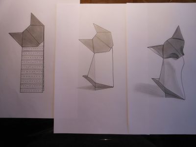 Evolution
