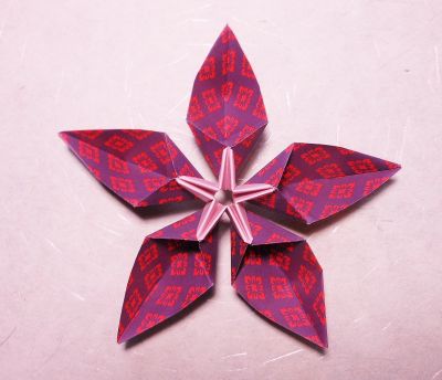 Fleur_poisson_coeur_ferme.JPG